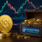 Windtree planea endeudarse por USD 500 millones para comprar la criptomoneda de Binance