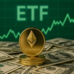 en el mercado de criptomonedas