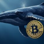 “Ballena de Bitcoin vende 80.000 BTC: ¿Qué impacto tendrá en el mercado?”