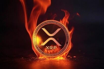 “Predicción: XRP alcanzará los 1.000 dólares en 2030”