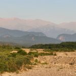 “Preservación de bosques y comunidades en Jujuy con Blockchain”