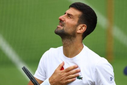 Descubre las inversiones de Novak Djokovic: salud, inmuebles y vino