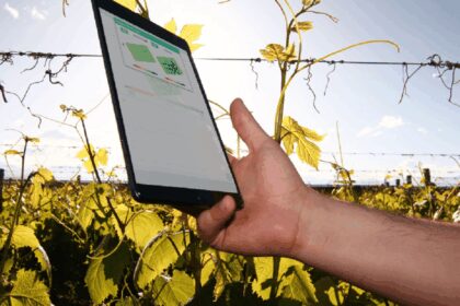 “Kilimo recauda $7.5 para impulsar inversión en conservación del agua”