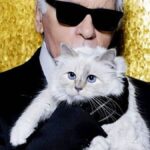 “Choupette: La gata millonaria con ama de llaves”