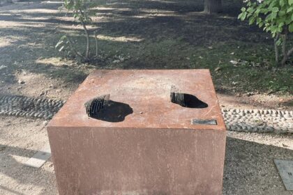 “Vandalizan estatua de Satoshi Nakamoto: ¿Quién fue el responsable?”