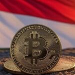 “Indonesia analiza reserva estratégica de bitcoin: ¿beneficios económicos?”