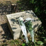 “Escándalo en Francia: antisemitas talan árbol en memoria de judío torturado”