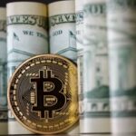 “Argentina: Dólar digital vs Bitcoin, ¿cuál es la mejor opción?”