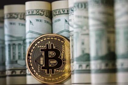 “Argentina: Dólar digital vs Bitcoin, ¿cuál es la mejor opción?”