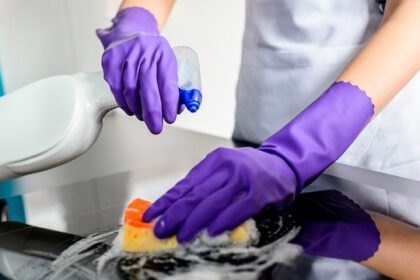 “Tarifas de empleada doméstica en septiembre 2025: ¡Descúbrelo aquí!”