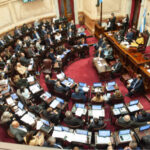 “Senado insiste en emergencia en discapacidad: ¿Qué impacto tendrá en el Estado?”