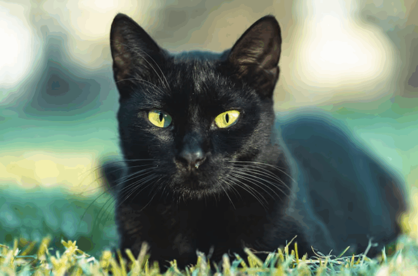 Las 10 supersticiones más populares