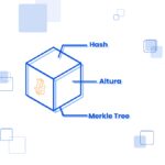 Descubre el funcionamiento de un explorador de bloques