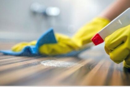 “¡Descubre el sueldo récord de empleadas domésticas en septiembre 2025!”