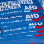 “Muertes misteriosas de candidatos AFD antes de elecciones”