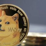 “Dogecoin: ¡Descubre los 2 impulsores alcistas que lo están llevando a la luna!”