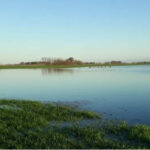 “Beneficios de las lluvias en Córdoba para el trigo, incertidumbre en siembra de maíz”