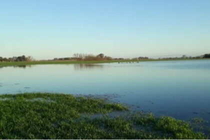 “Beneficios de las lluvias en Córdoba para el trigo, incertidumbre en siembra de maíz”