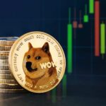 “DOGE: La nueva tendencia en tesorería corporativa”