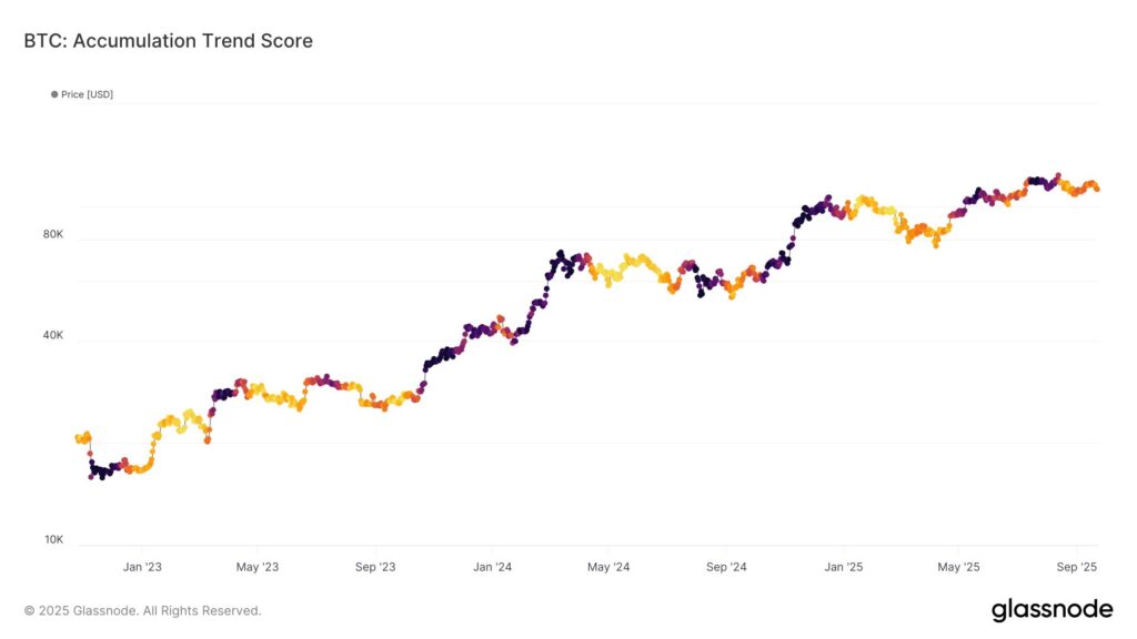 Gráfico de acumulación de bitcoin entre 2023 y 2025, que muestra una tendencia alcista y estancamiento actual
