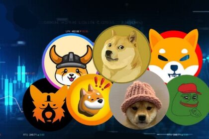 “Invertir en meme coin: ¿Buena idea o riesgo innecesario?”