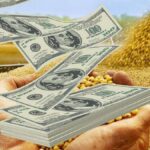 “Alerta: Tesoro vende el 60% de dólares comprados por liquidación del agro”