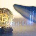 “Ballena bitcoin gana USD 150 millones: abre nuevo short”