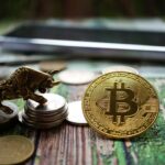 “Roxom: la bolsa de valores con bitcoin como moneda nativa”