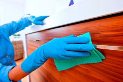 “Sueldo empleada doméstica: tarifas por día y hora en noviembre 2025”