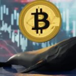 “Ballena de Bitcoin de 14 años se activa: ¿Qué pasará ahora?”