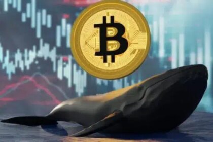 “Ballena de Bitcoin de 14 años se activa: ¿Qué pasará ahora?”