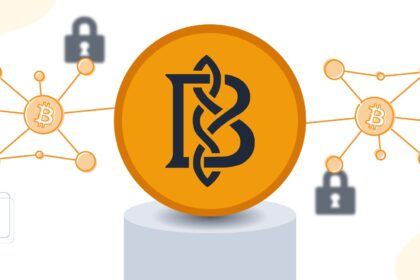 Descubre Bitcoin Knots: Importancia en el ecosistema