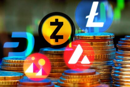 “Zcash y Dash: líderes en criptomonedas privadas”