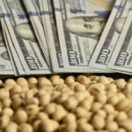 “Descenso del 2% en la soja tras alcanzar máximos de 16 meses”