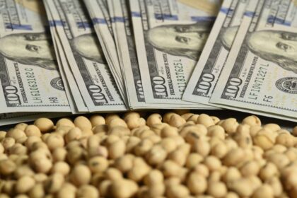 “Descenso del 2% en la soja tras alcanzar máximos de 16 meses”
