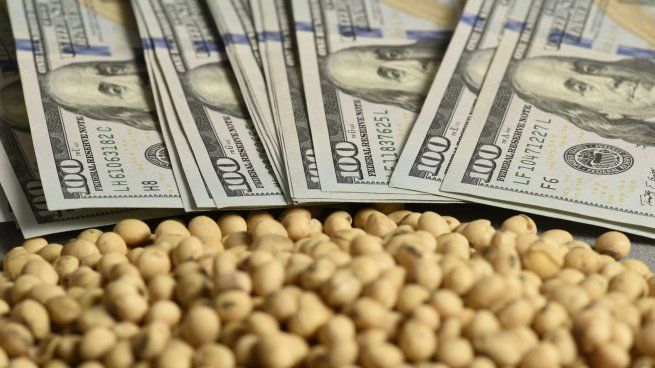 La soja continúa en su nivel más alto en 15 meses.