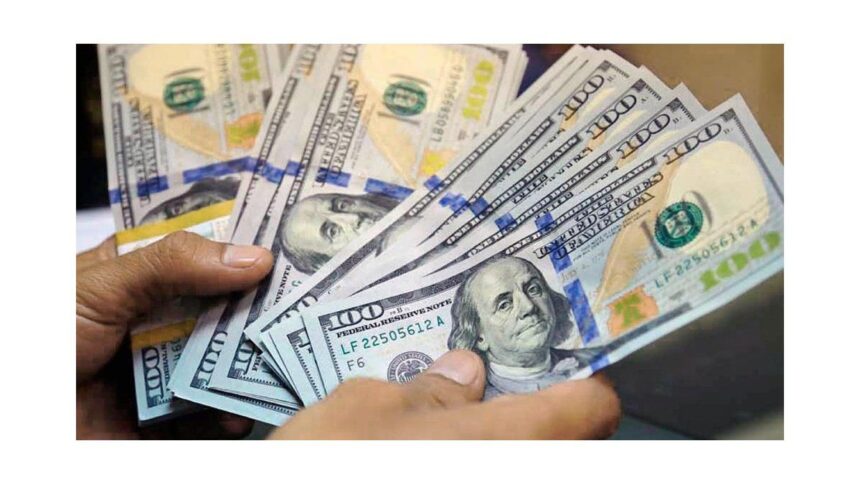 “Brecha cambiaria: dólar oficial baja y blue sube”